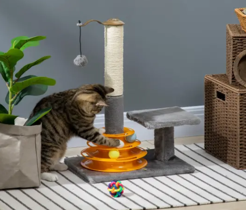 Cat Accessories & Products