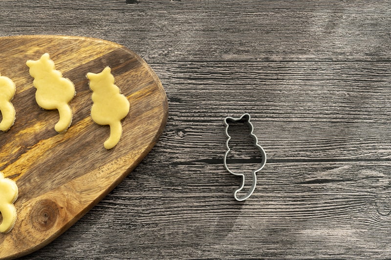 Cat Treats