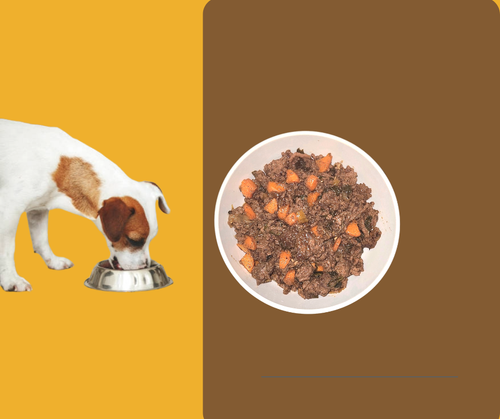 Dog's Fresh Meal Plan