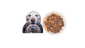 Dog's Fresh Meal Plan
