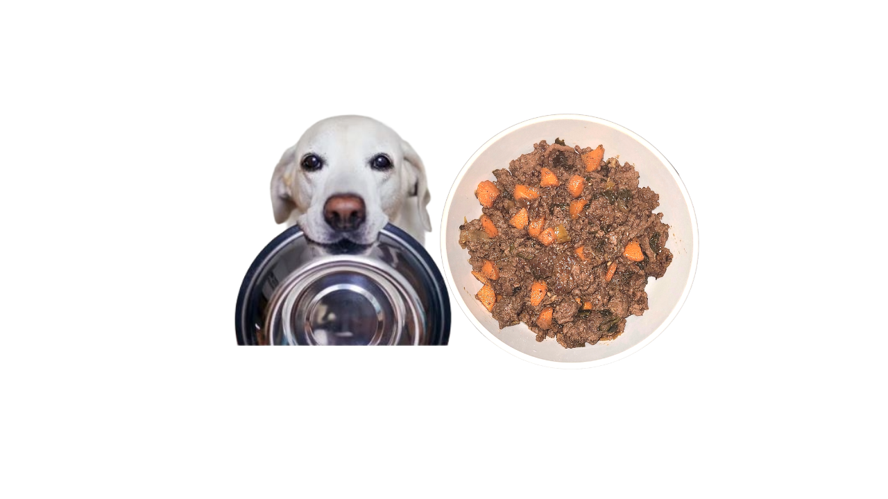 Dog's Fresh Meal Plan